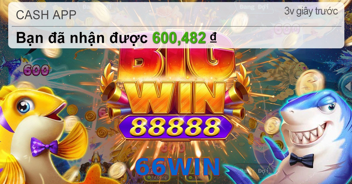 66WIN